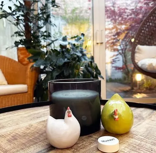 Large Quiet Charming In House Near Historic Centre